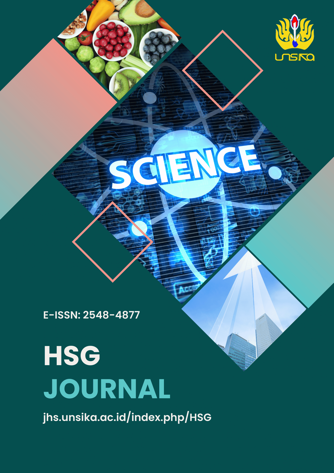 hsg